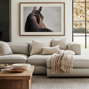 Sideways Glance in Color