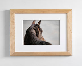 Sideways Glance in Color