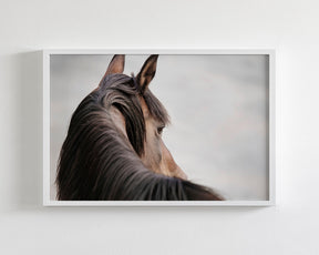 Sideways Glance in Color