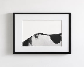 Modern Horse Back, Black and White