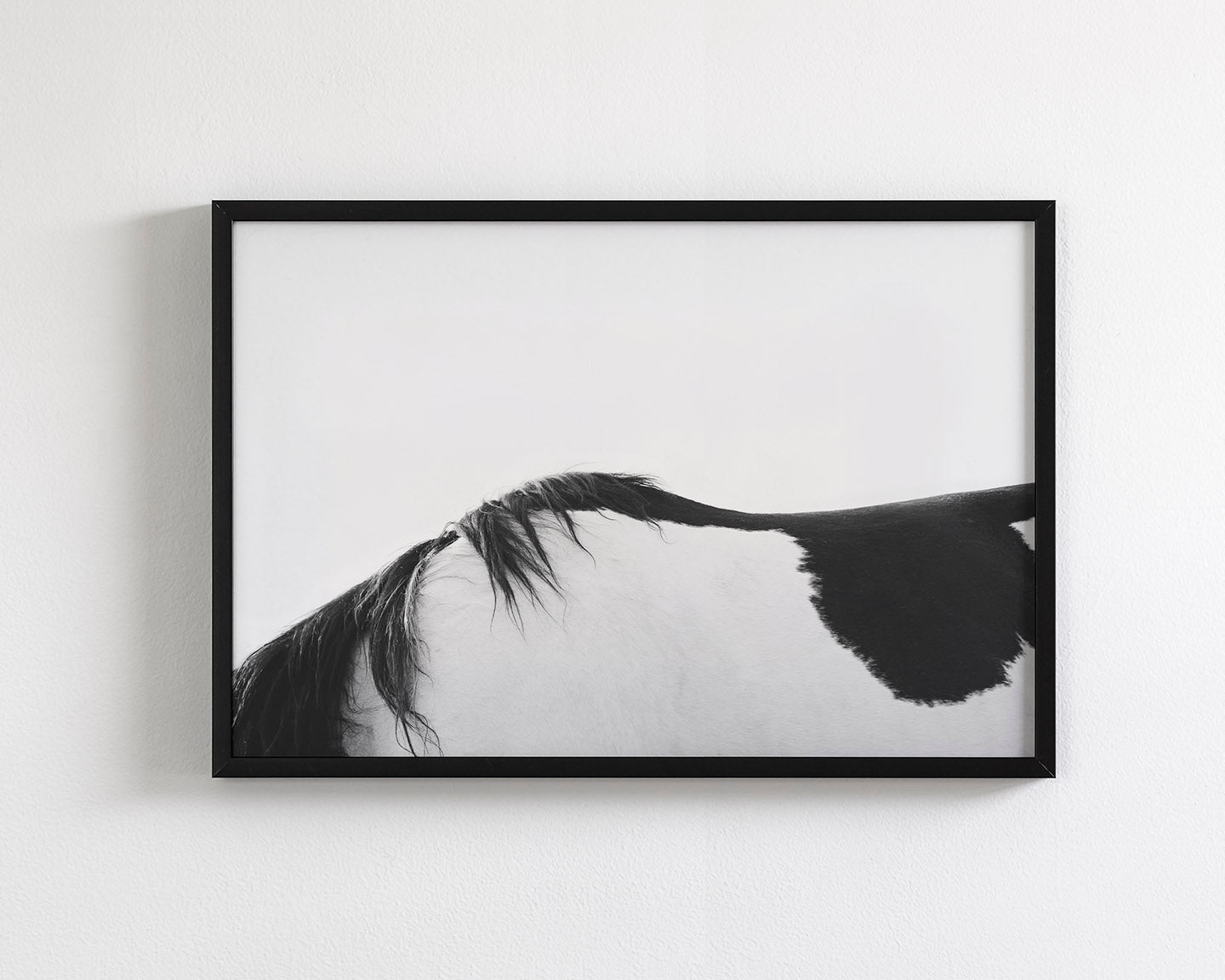 Modern Horse Back, Black and White