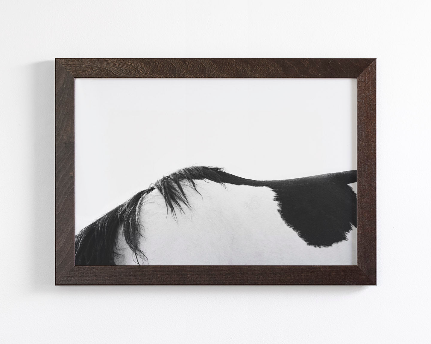 Modern Horse Back, Black and White