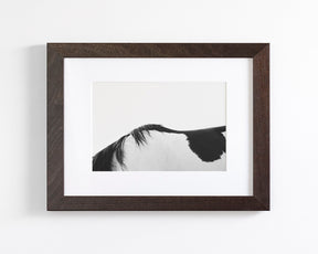 Modern Horse Back, Black and White