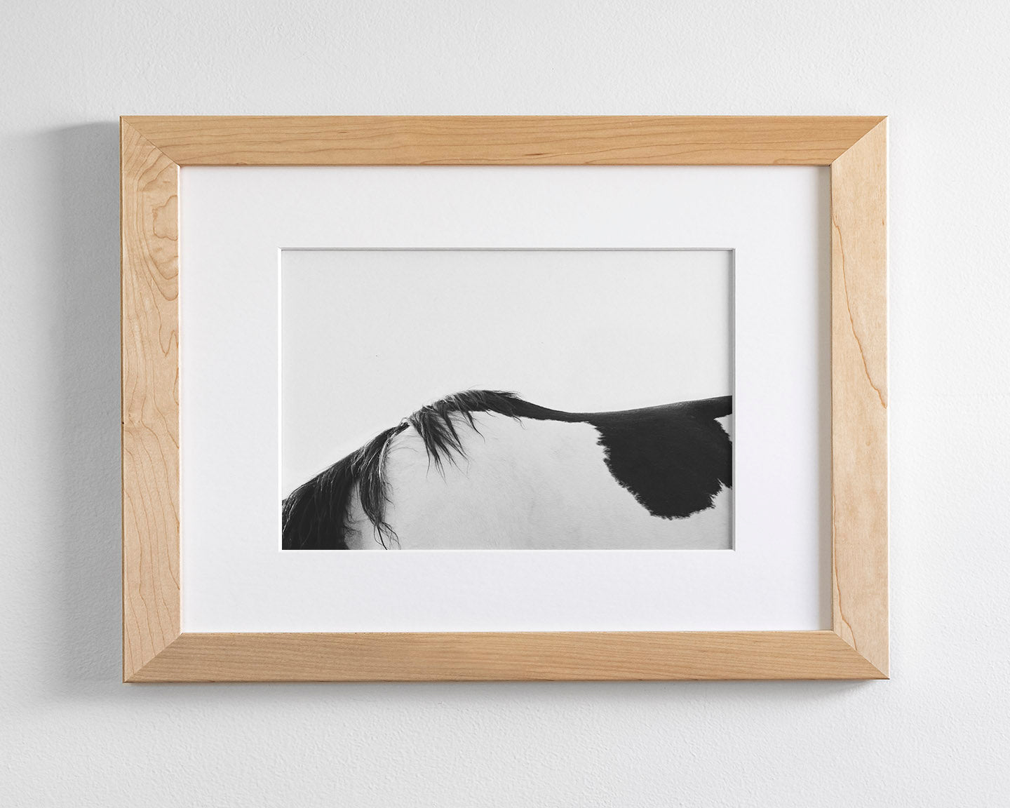 Modern Horse Back, Black and White