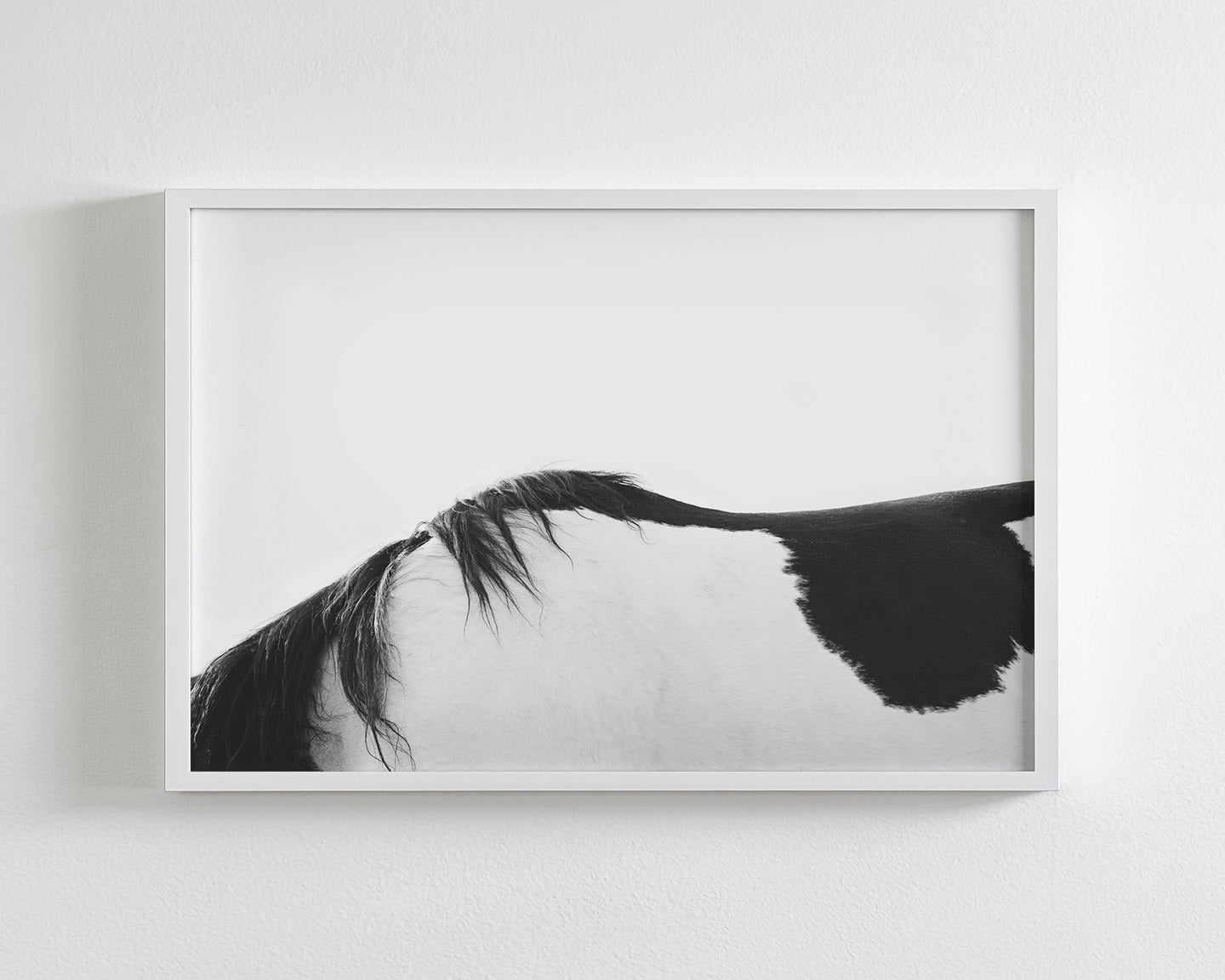 Modern Horse Back, Black and White