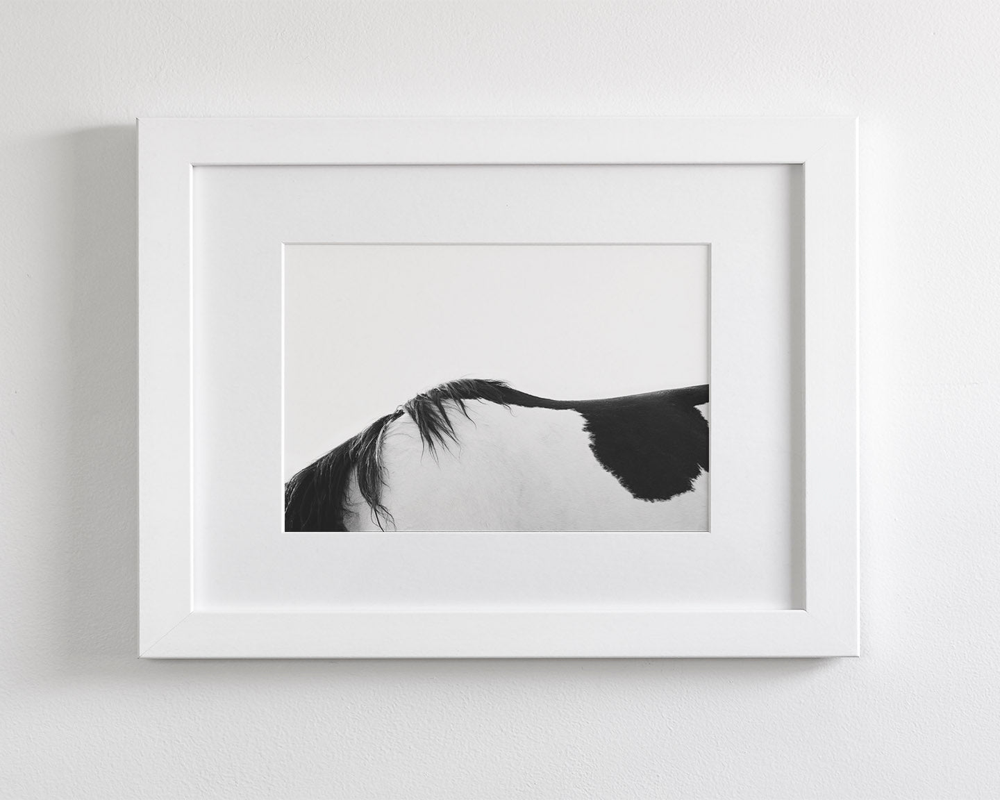 Modern Horse Back, Black and White
