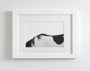 Modern Horse Back, Black and White