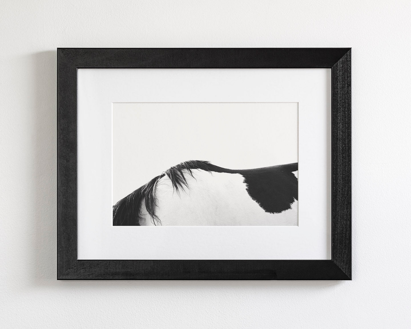 Modern Horse Back, Black and White