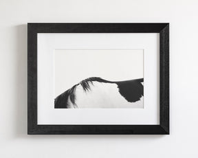 Modern Horse Back, Black and White
