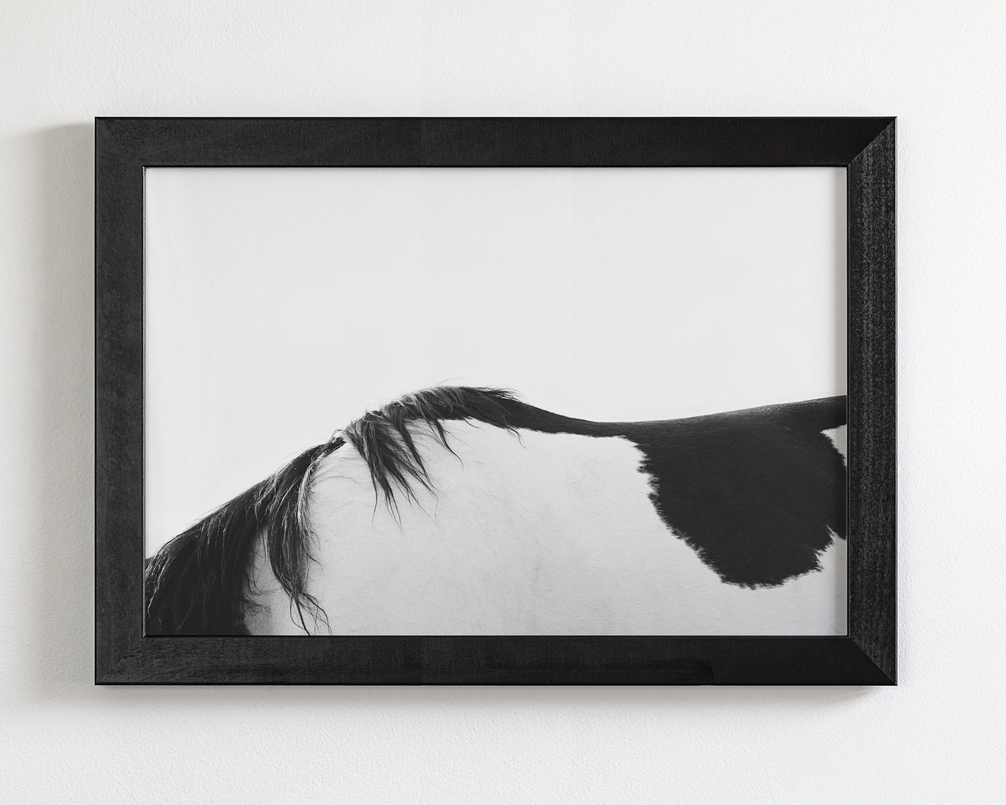 Modern Horse Back, Black and White