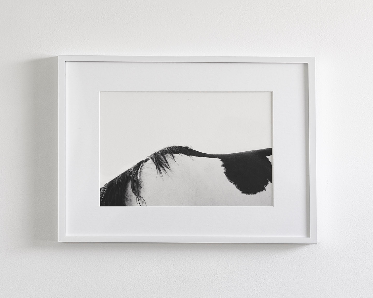 Modern Horse Back, Black and White