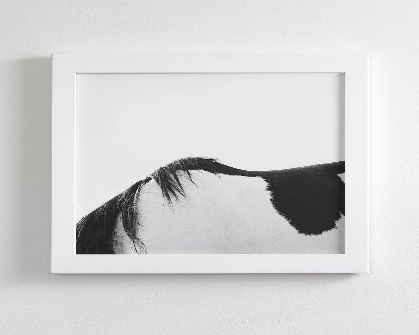 Modern Horse Back, Black and White
