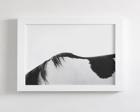 Modern Horse Back, Black and White