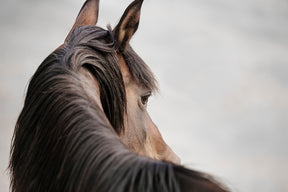 Sideways Glance in Color