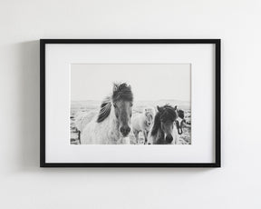 Icelandic Greeting