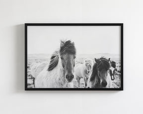 Icelandic Greeting