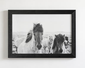 Icelandic Greeting