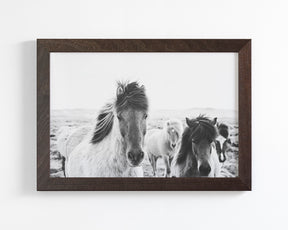 Icelandic Greeting