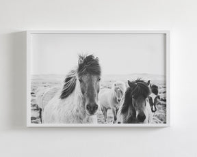 Icelandic Greeting