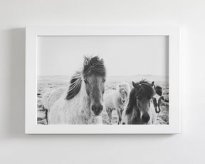 Icelandic Greeting