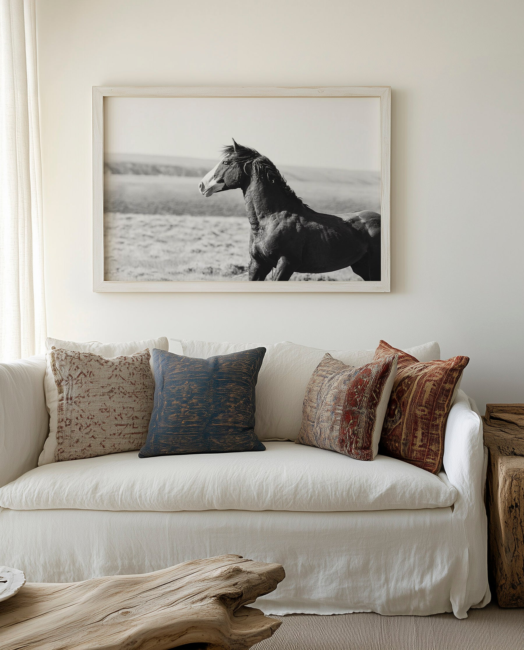 Captivating Wild Stallion, Jack