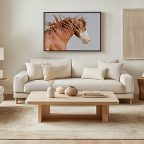Wild Stallion in Motion, Color Version