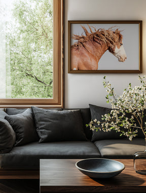 Wild Stallion in Motion, Color Version