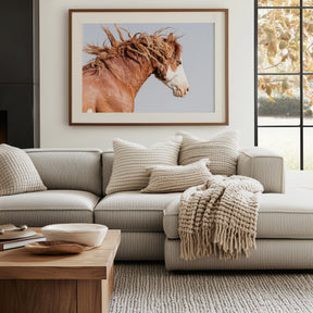 Wild Stallion in Motion, Color Version