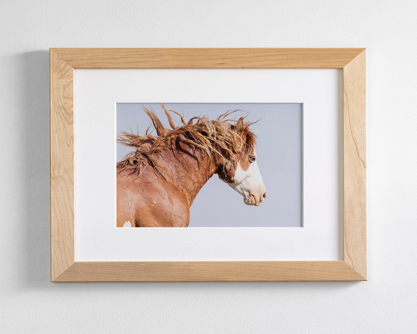 Wild Stallion in Motion, Color Version