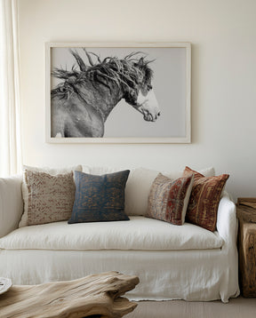 Wild Stallion in Motion