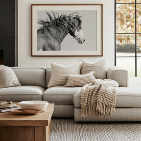 Wild Stallion in Motion