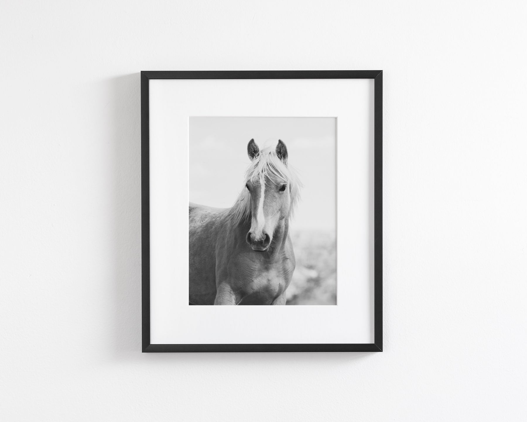 Wild Mare Portrait, Vertical