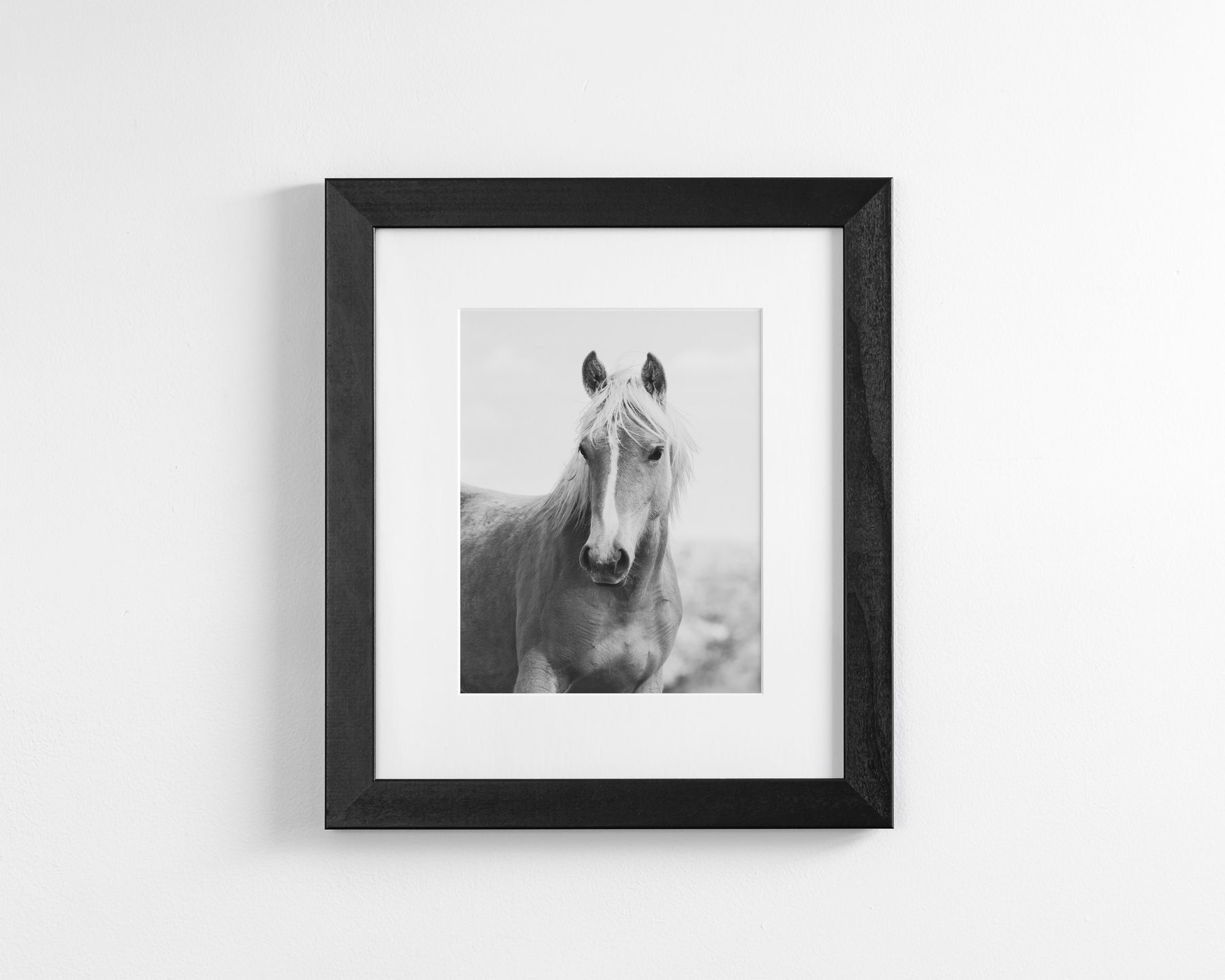 Wild Mare Portrait, Vertical