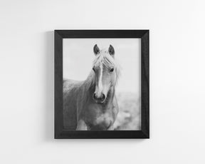 Wild Mare Portrait, Vertical