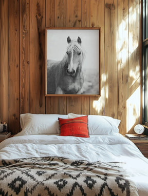 Wild Mare Portrait, Vertical