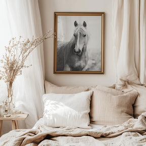 Wild Mare Portrait, Vertical