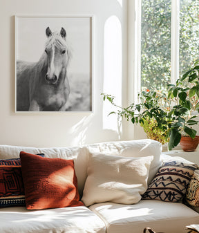 Wild Mare Portrait, Vertical