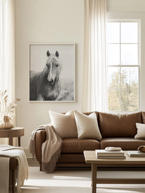 Wild Mare Portrait, Vertical