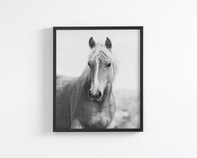 Wild Mare Portrait, Vertical