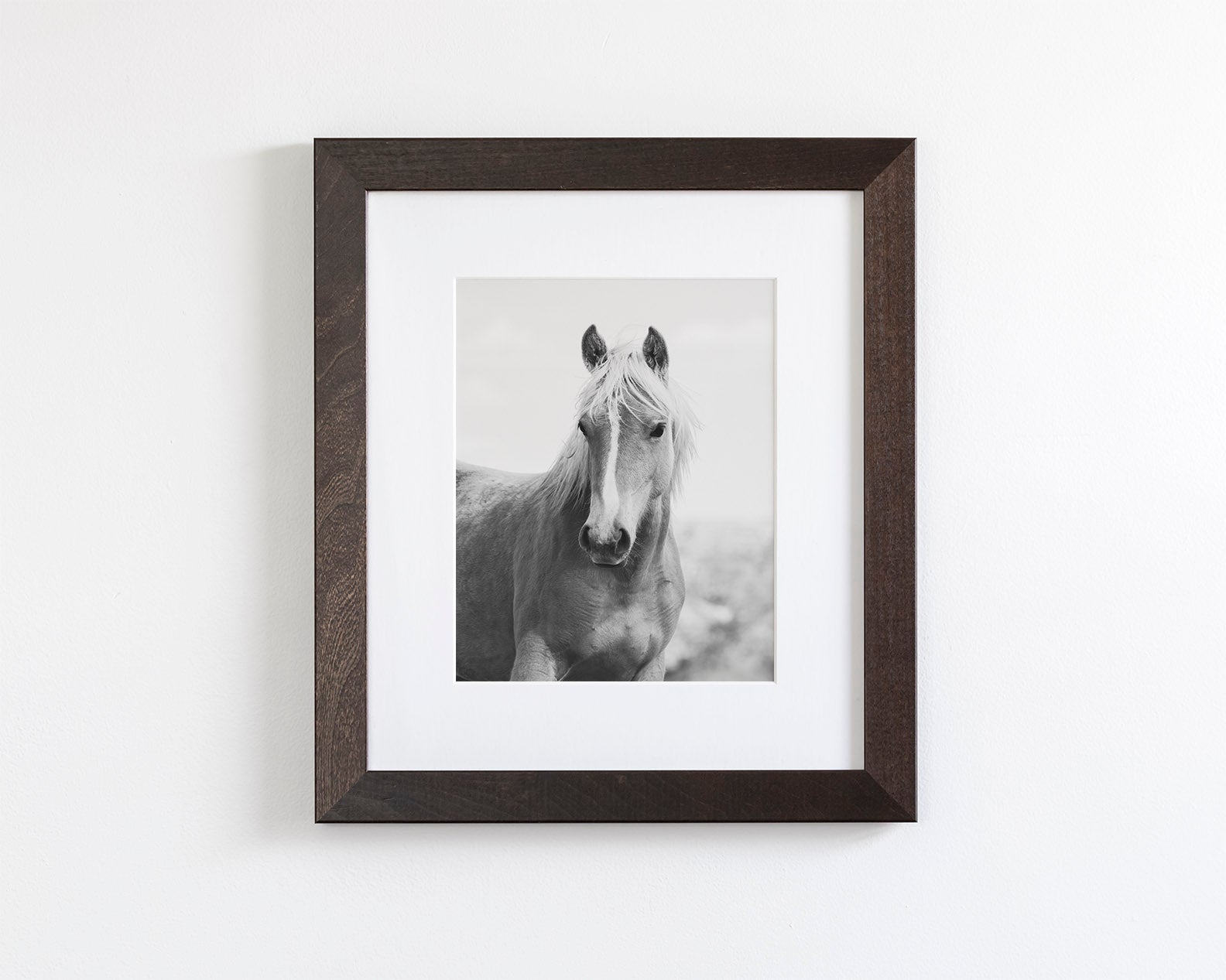 Wild Mare Portrait, Vertical