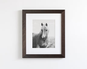 Wild Mare Portrait, Vertical