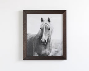 Wild Mare Portrait, Vertical