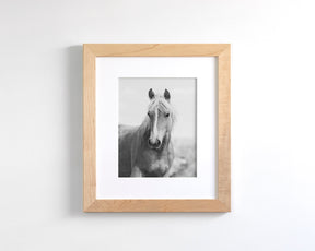 Wild Mare Portrait, Vertical