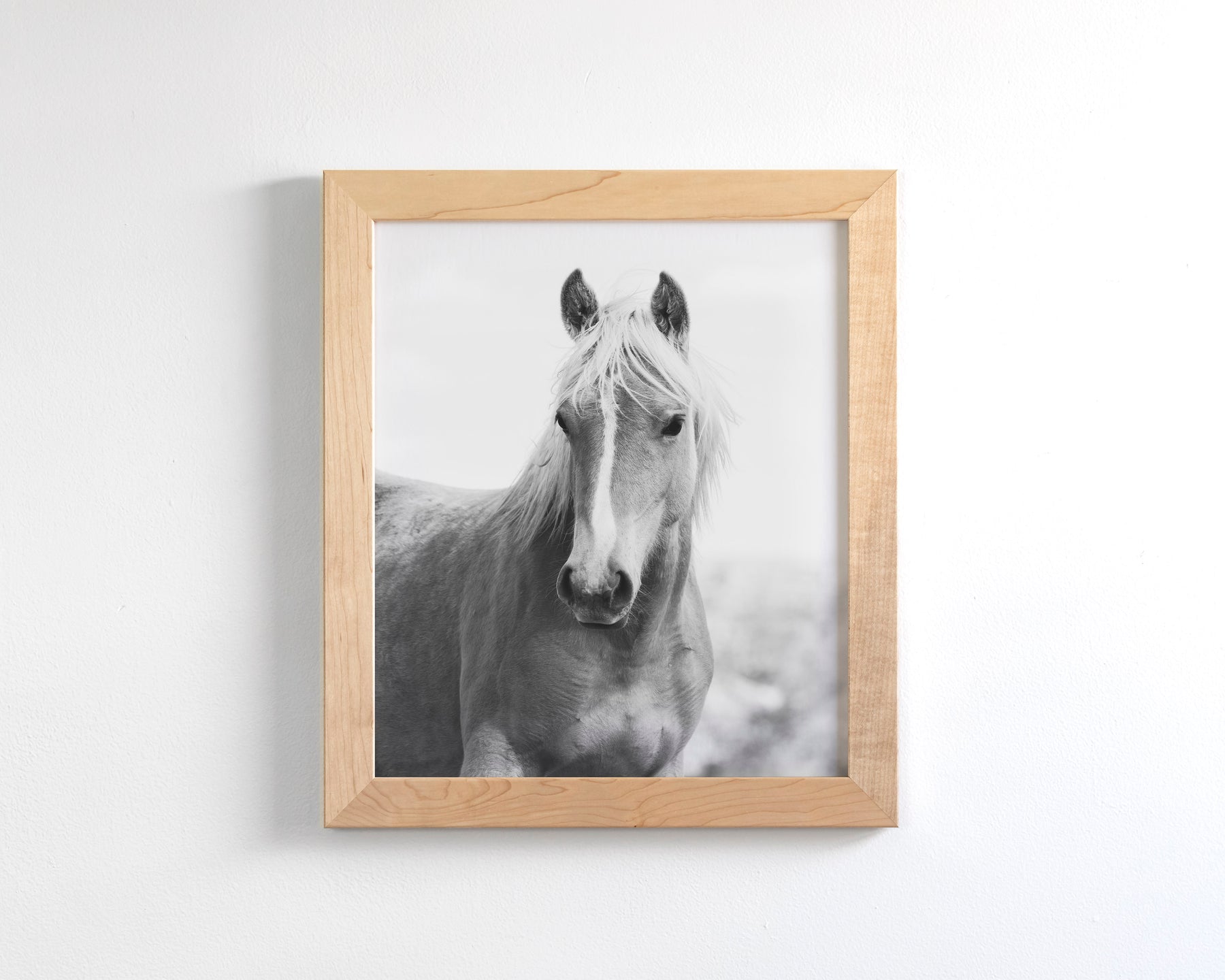 Wild Mare Portrait, Vertical
