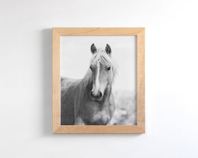 Wild Mare Portrait, Vertical