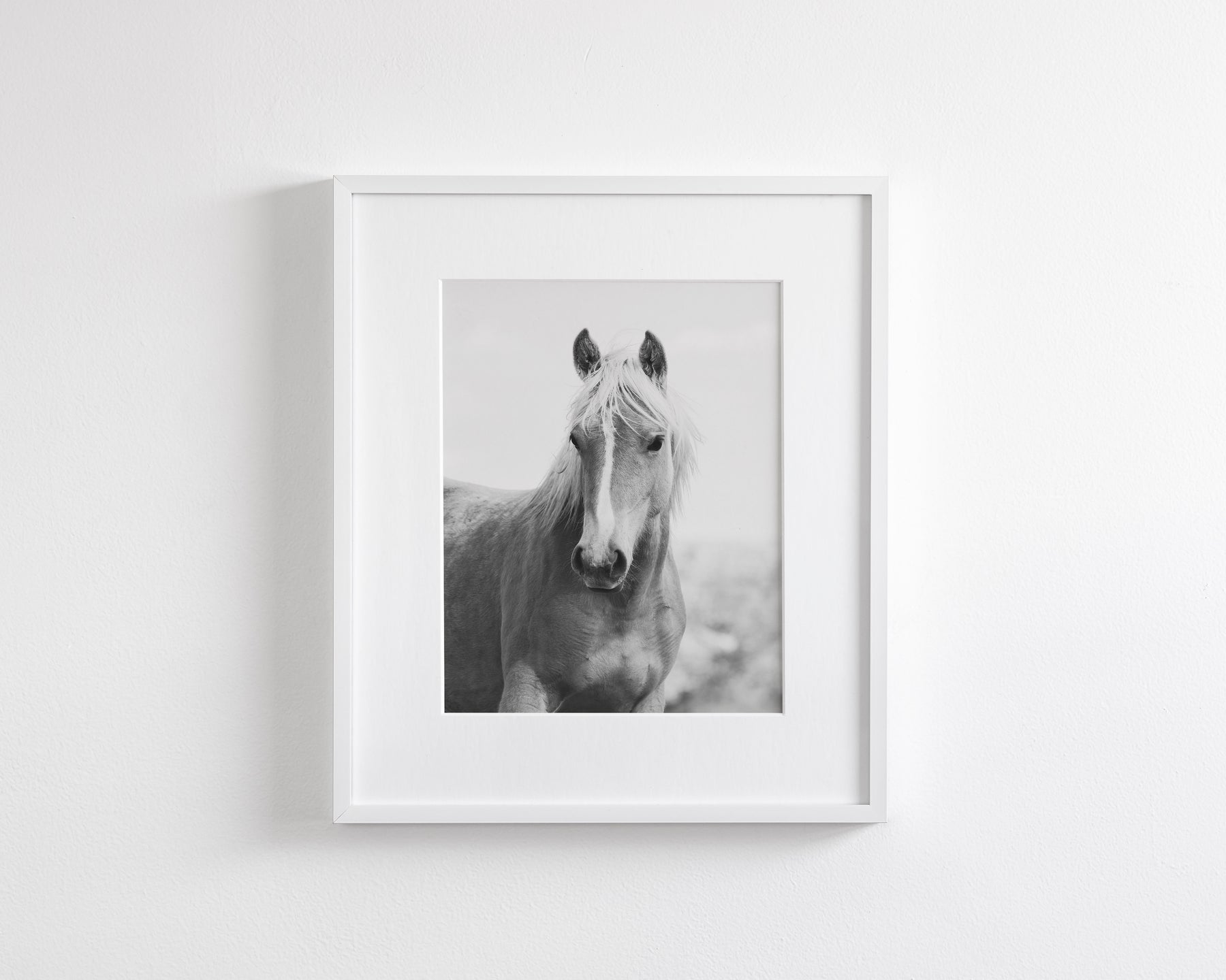 Wild Mare Portrait, Vertical