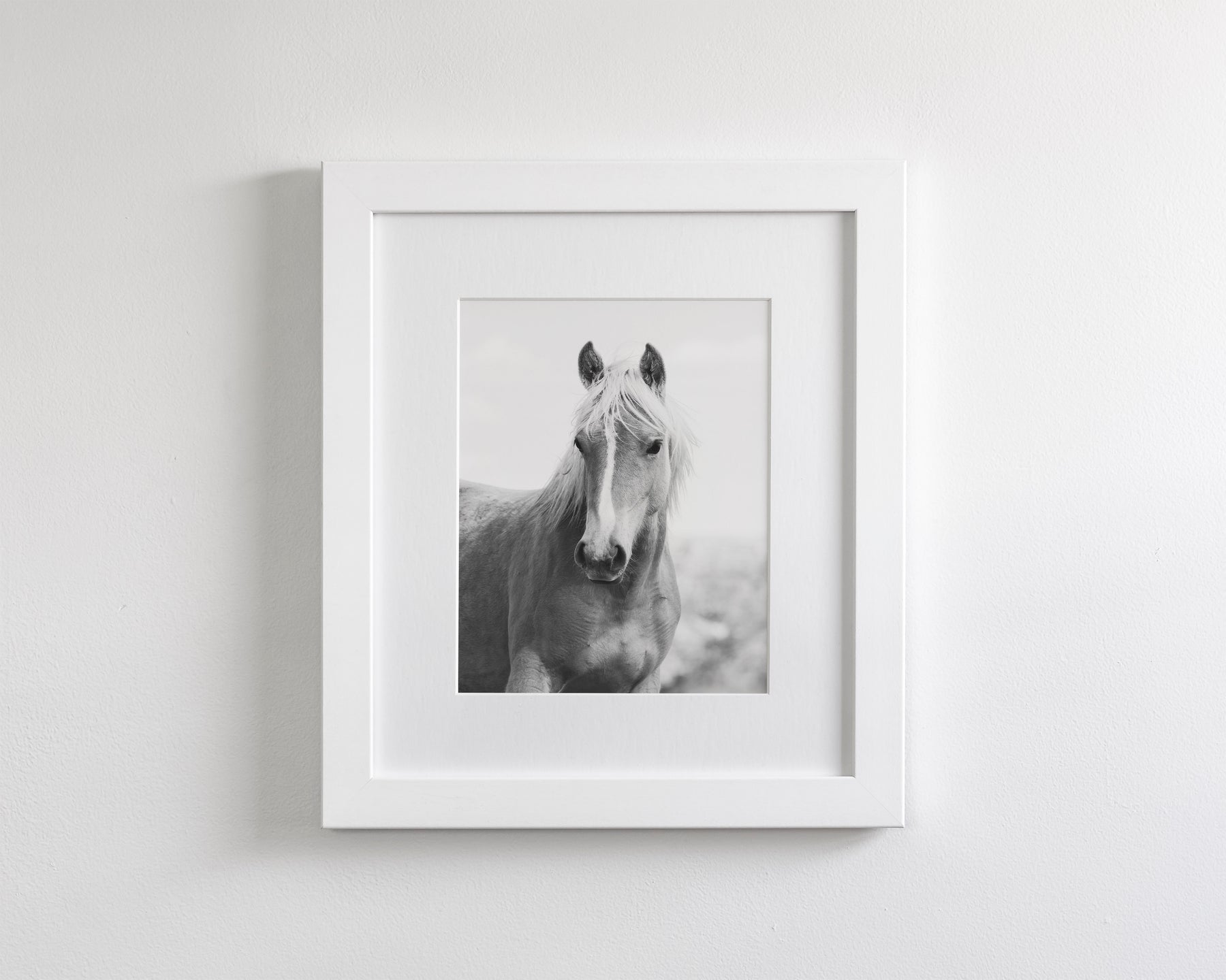 Wild Mare Portrait, Vertical