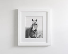 Wild Mare Portrait, Vertical