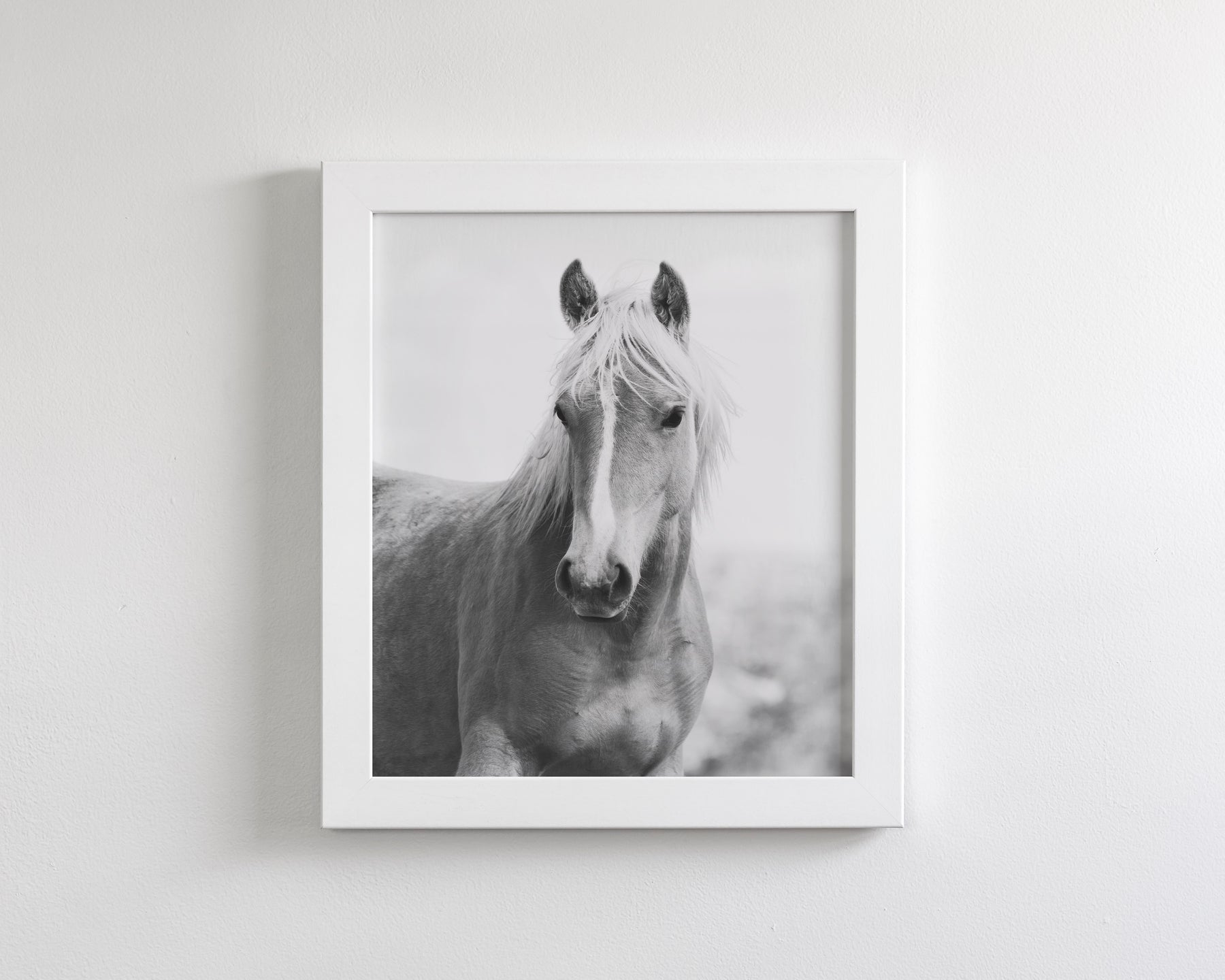 Wild Mare Portrait, Vertical