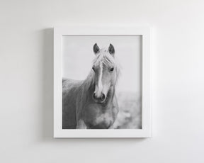 Wild Mare Portrait, Vertical
